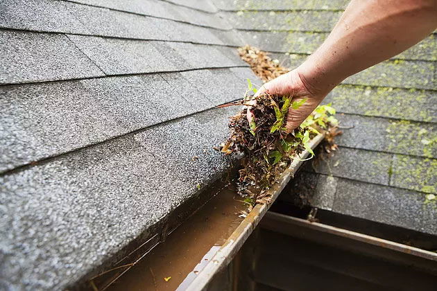 gutter-guard-cleaning.jpg